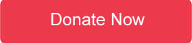 Donate to the Heart of Clay via Giving Hearts Day today!